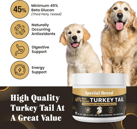 SPECIAL BREED - Special Breed Organic Turkey Tail Mushroom for Dogs 100Gr. - The Red Vitamin MX - Suplementos Herbales Para Perros - {{ shop.shopifyCountryName }}