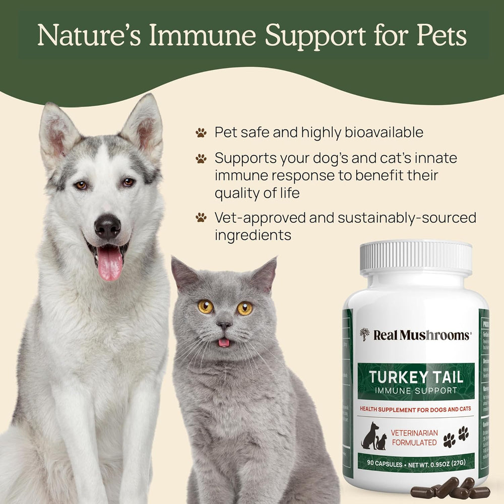 REAL MUSHROOMS - Real Mushrooms Turkey Tail Capsules for Pets 90 Capsulas - The Red Vitamin MX - Suplementos Herbales Para Perros - {{ shop.shopifyCountryName }}