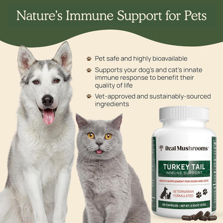 REAL MUSHROOMS - Real Mushrooms Turkey Tail Capsules for Pets 90 Capsulas - The Red Vitamin MX - Suplementos Herbales Para Perros - {{ shop.shopifyCountryName }}