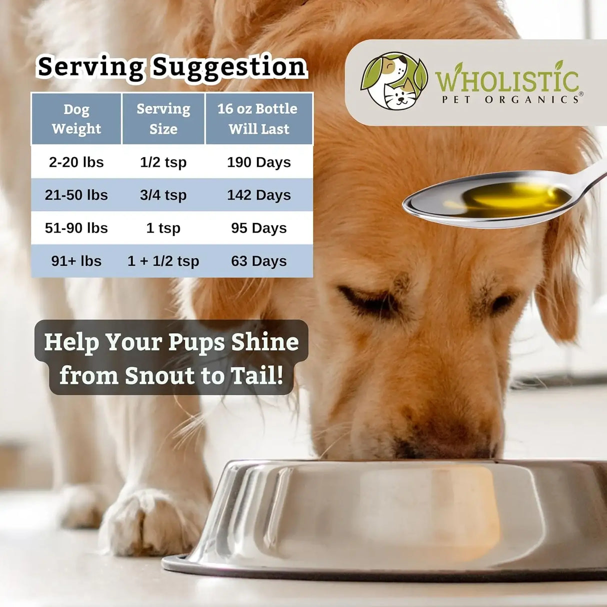 WHOLISTIC PET ORGANICS - Wholistic Pet Organics Flaxseed Oil for Dogs 16 Fl.Oz. - The Red Vitamin MX - Remedios Para La Picazón De Perros - {{ shop.shopifyCountryName }}