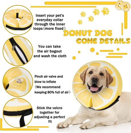 CNEO - Cneo Recovery Donut Collar LEMON LARGE - The Red Vitamin MX - Collares y Conos De Recuperación Para Perros - {{ shop.shopifyCountryName }}