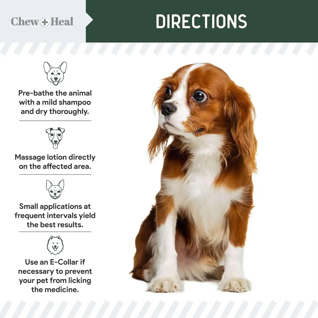 CHEW + HEAL - Chew + Heal Labs Hydrocortisone Lotion for Dogs 4 Fl.Oz. - The Red Vitamin MX - Remedios Para La Picazón De Perros - {{ shop.shopifyCountryName }}
