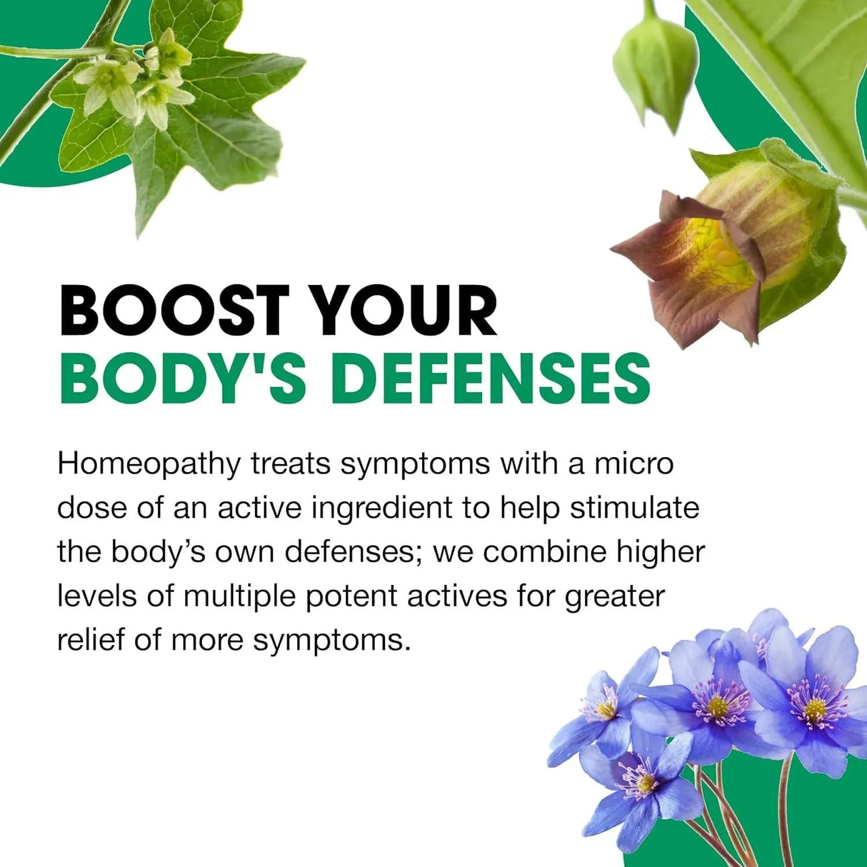 BHI - BHI Mucus Natural Chest Congestion, Cough & Mucus Relief 100 Tabletas - The Red Vitamin MX - Suplementos Alimenticios - {{ shop.shopifyCountryName }}