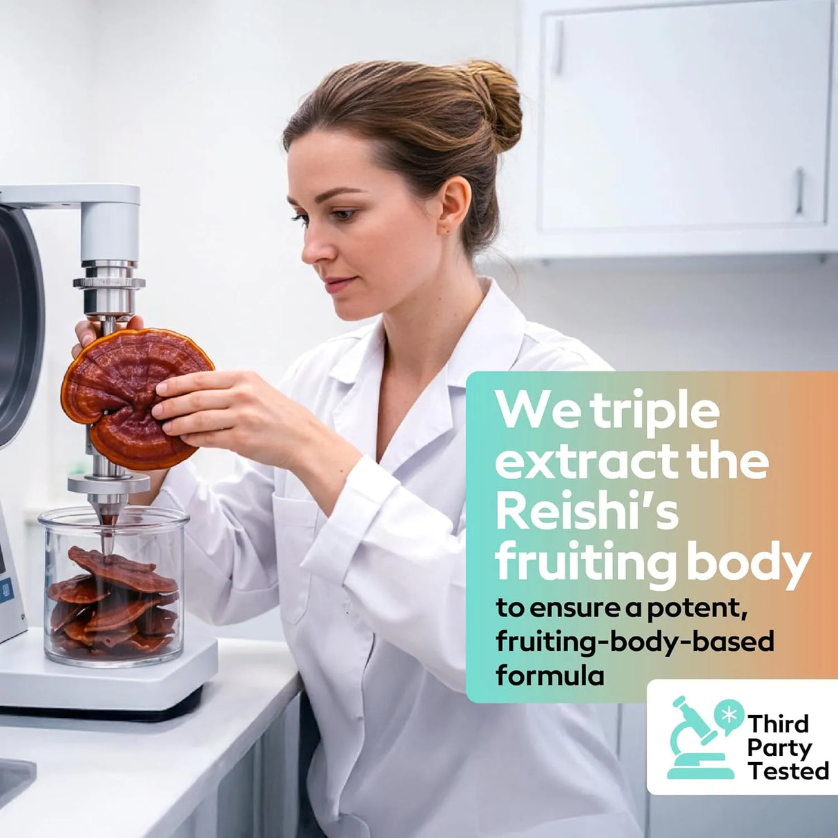 TROOP - Troop Reishi Mushroom Gummies 60 Gomitas - The Red Vitamin MX - Suplementos Alimenticios - {{ shop.shopifyCountryName }}