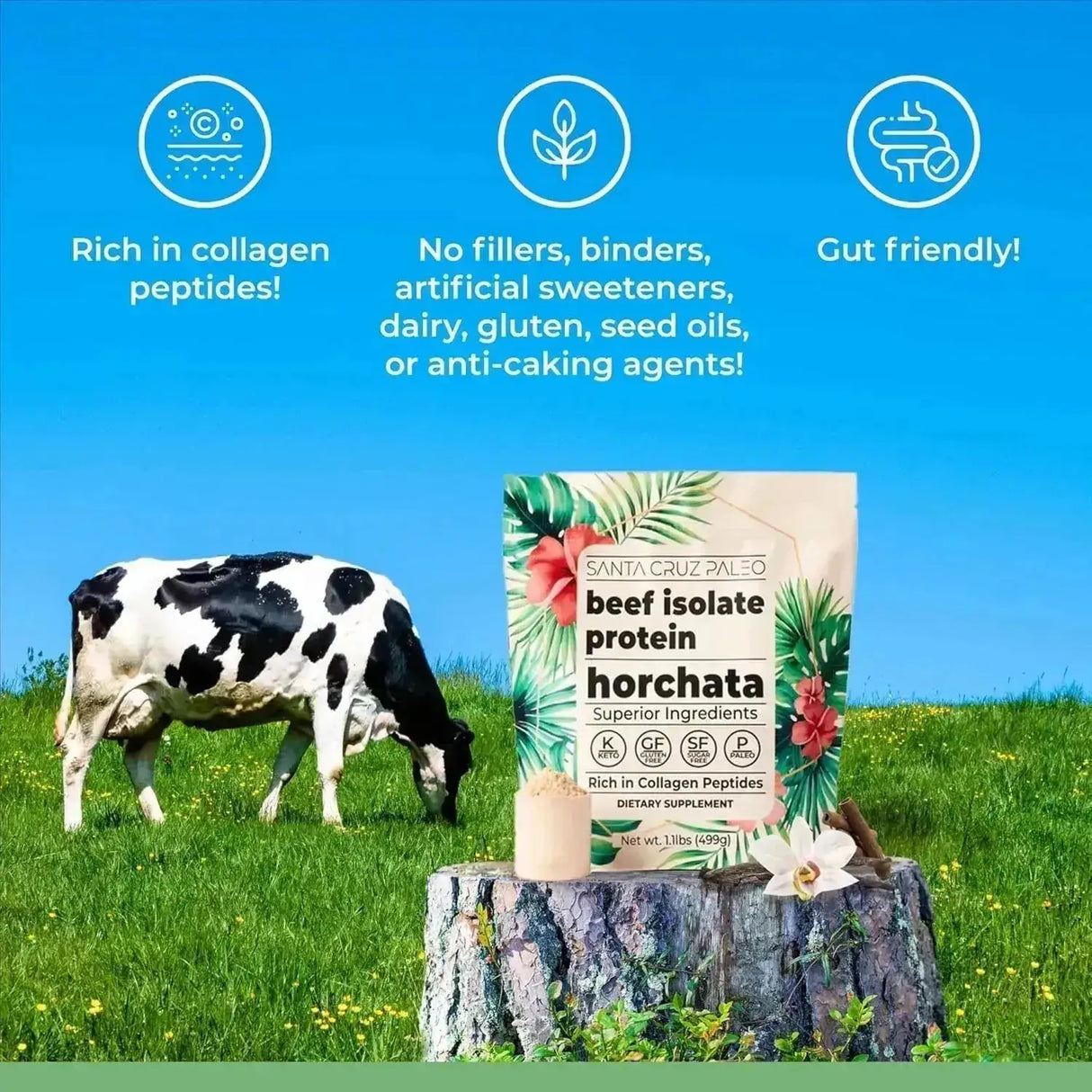 SANTA CRUZ PALEO - Santa Cruz Paleo Beef Isolate Protein Powder Horchata 499Gr. - The Red Vitamin MX - Suplementos Alimenticios - {{ shop.shopifyCountryName }}