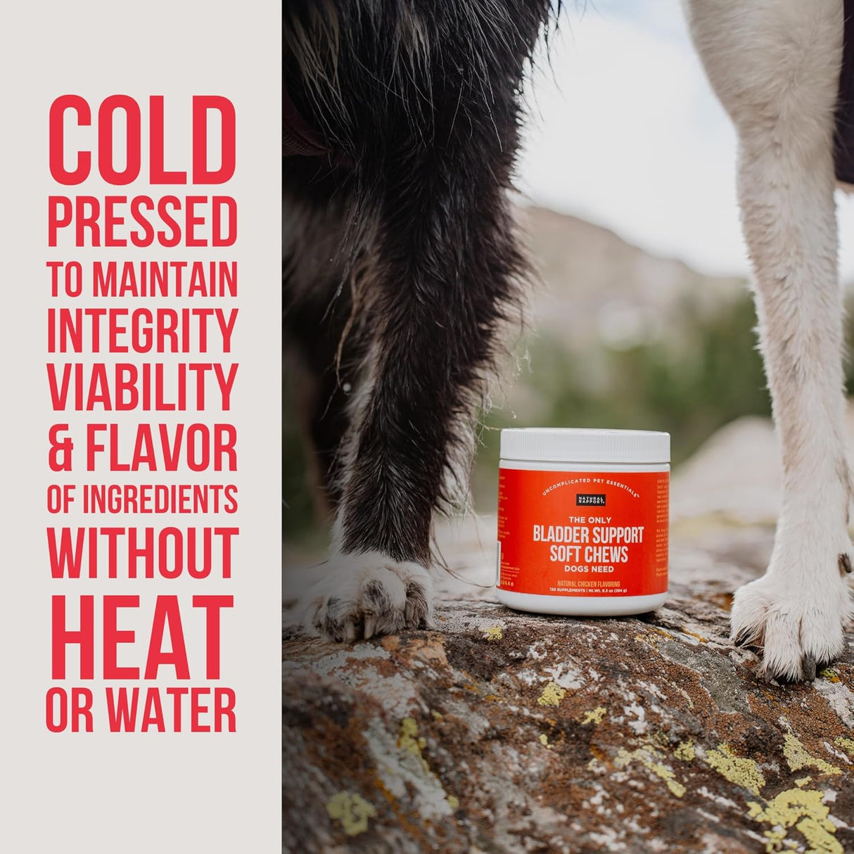 Natural Rapport Dog Bladder Support 120 Masticables