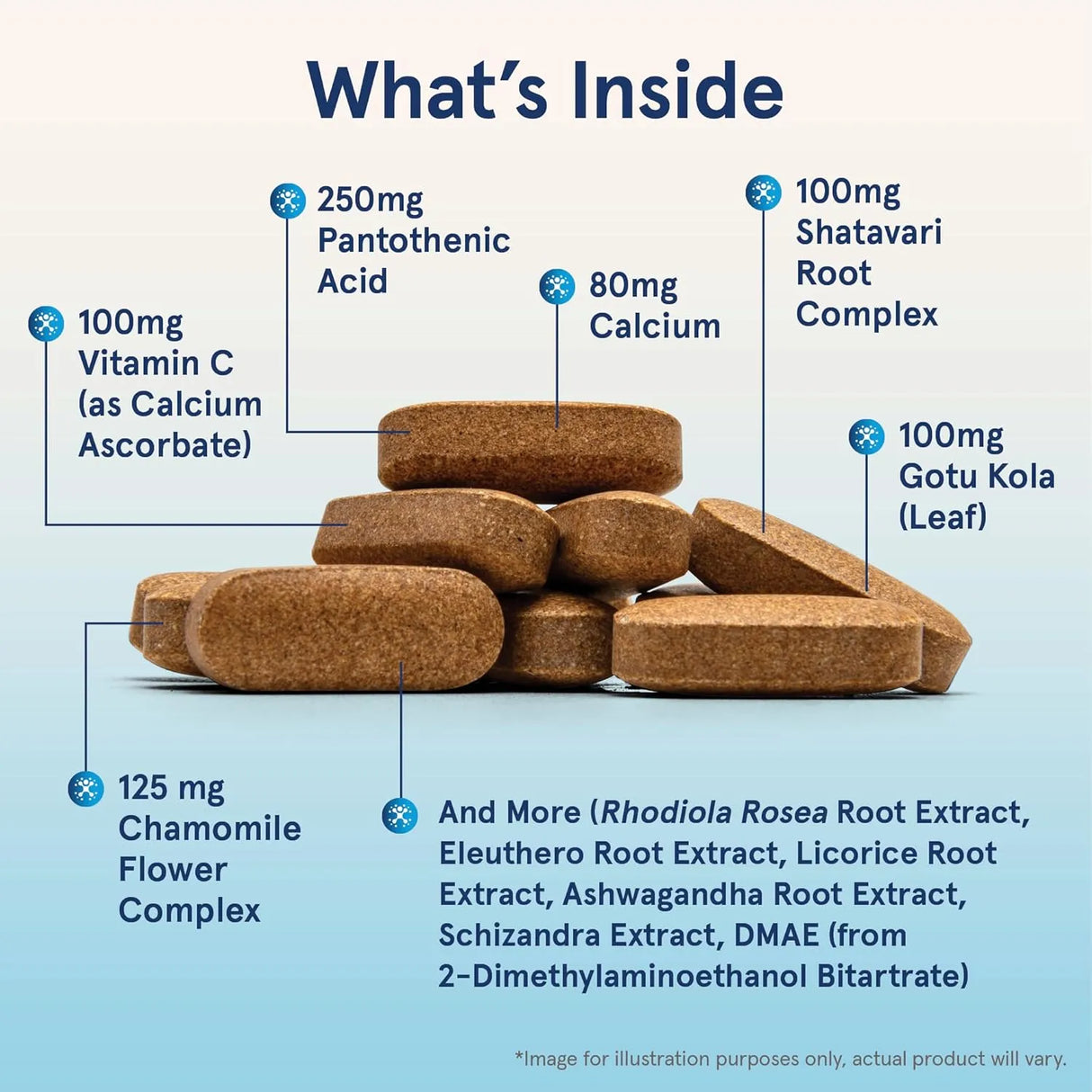 JARROW FORMULAS - Jarrow Formulas Adrenal Optimizer 120 Tabletas - The Red Vitamin MX - Suplementos Alimenticios - {{ shop.shopifyCountryName }}