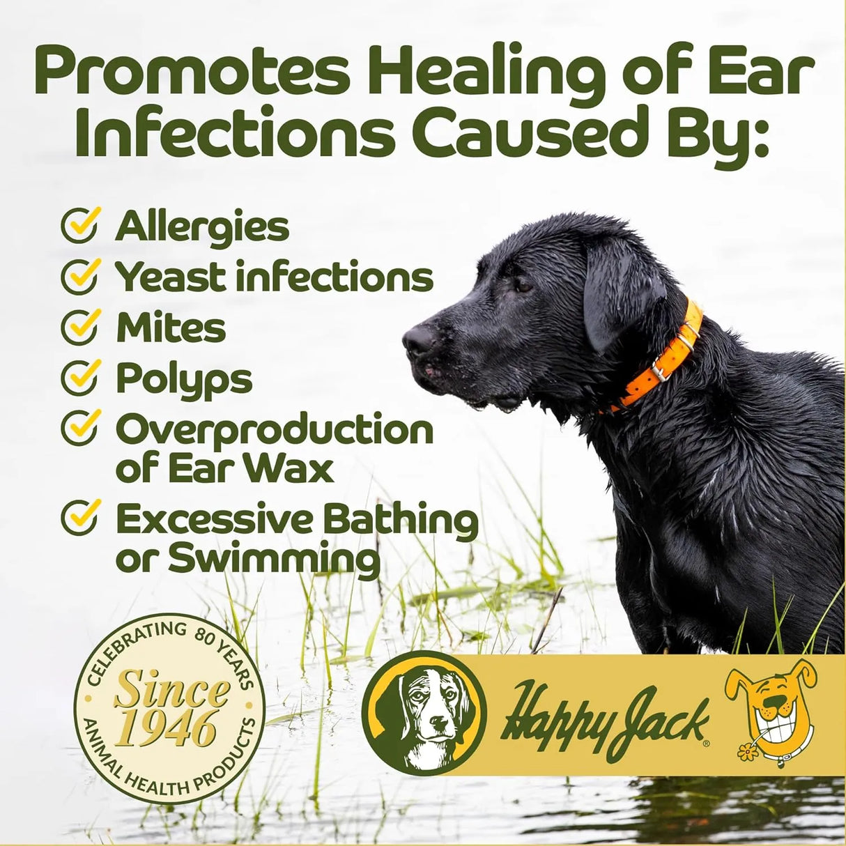 HAPPY JACK - HAPPY JACK Ear Canker Powder 14Gr. - The Red Vitamin MX - Cuidado Del Oído De Perros - {{ shop.shopifyCountryName }}