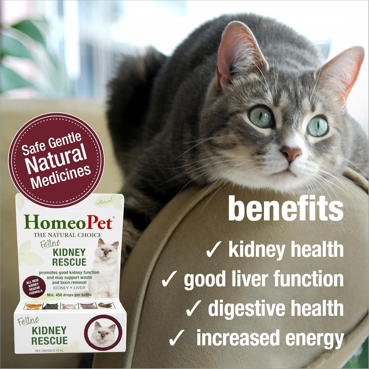 HomeoPet Feline Kidney Rescue 15Ml.