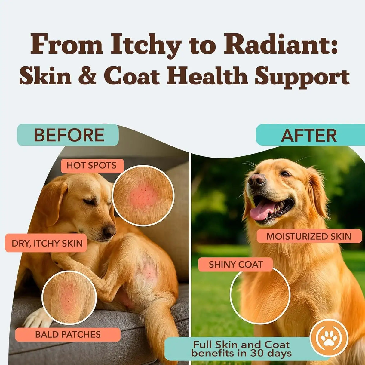 NATURAL DOG - Natural Dog Company Skin & Coat Omega-3 Rich Salmon Oil Chews 180 Masticables - The Red Vitamin MX - Aceite De Pescado Para Perros - {{ shop.shopifyCountryName }}