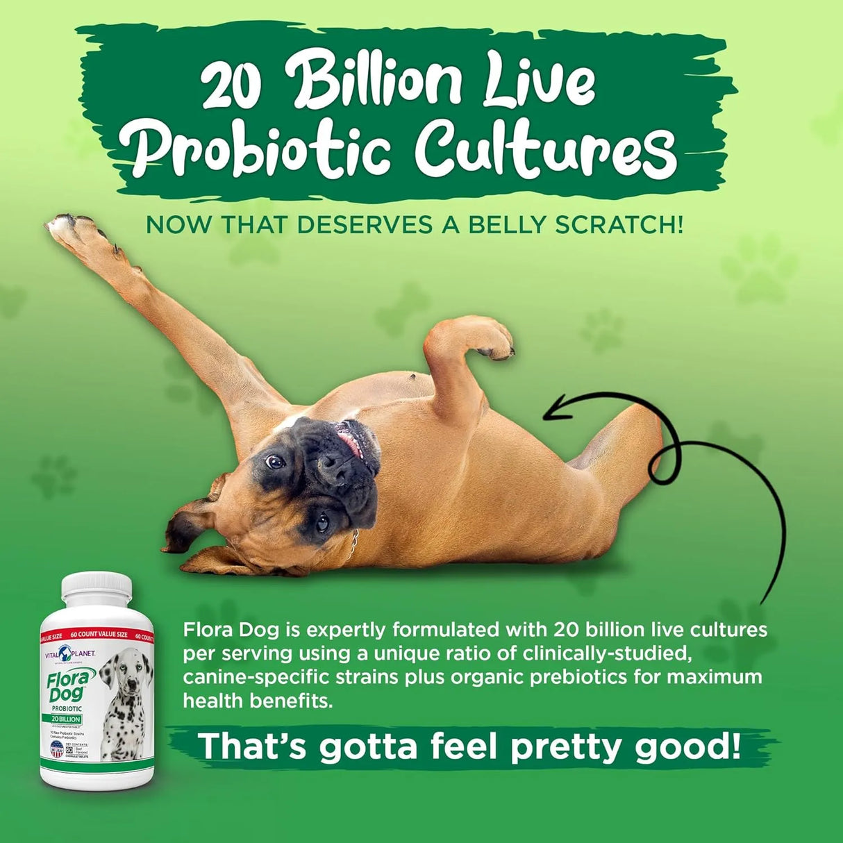 VITAL PLANET - Vital Planet Flora Dog Probiotic Chewable Tablets Beef Flavored 60 Tabletas Masticables - The Red Vitamin MX - Probióticos Para Perros - {{ shop.shopifyCountryName }}