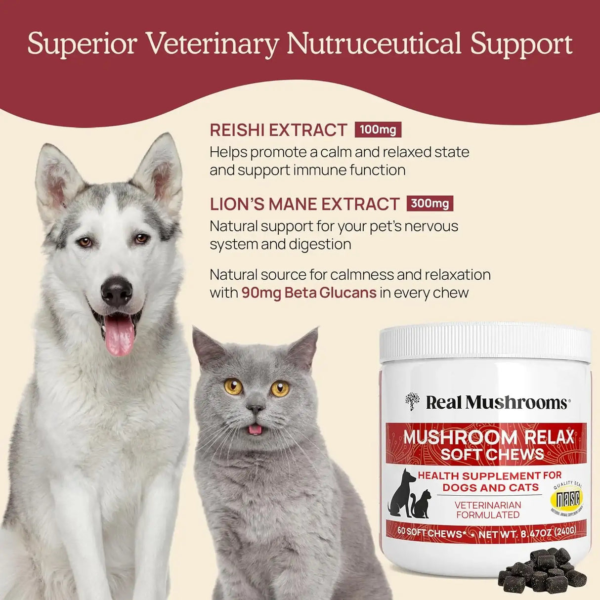 REAL MUSHROOMS - Real Mushrooms Calming Treats for Dogs & Cats 60 Masticables - The Red Vitamin MX - Suplementos Herbales Para Perros - {{ shop.shopifyCountryName }}