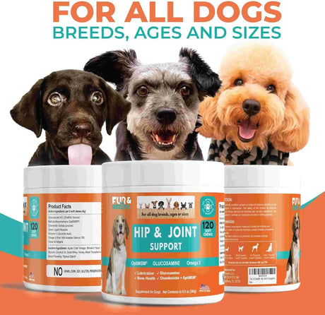 FUR & HEALTH - Fur & Health Glucosamine Chondroitin Hip & Joint Supplement for Dogs 120 Masticables - The Red Vitamin MX - Cuidado De Cadera Y Articulaciones Para Perros - {{ shop.shopifyCountryName }}