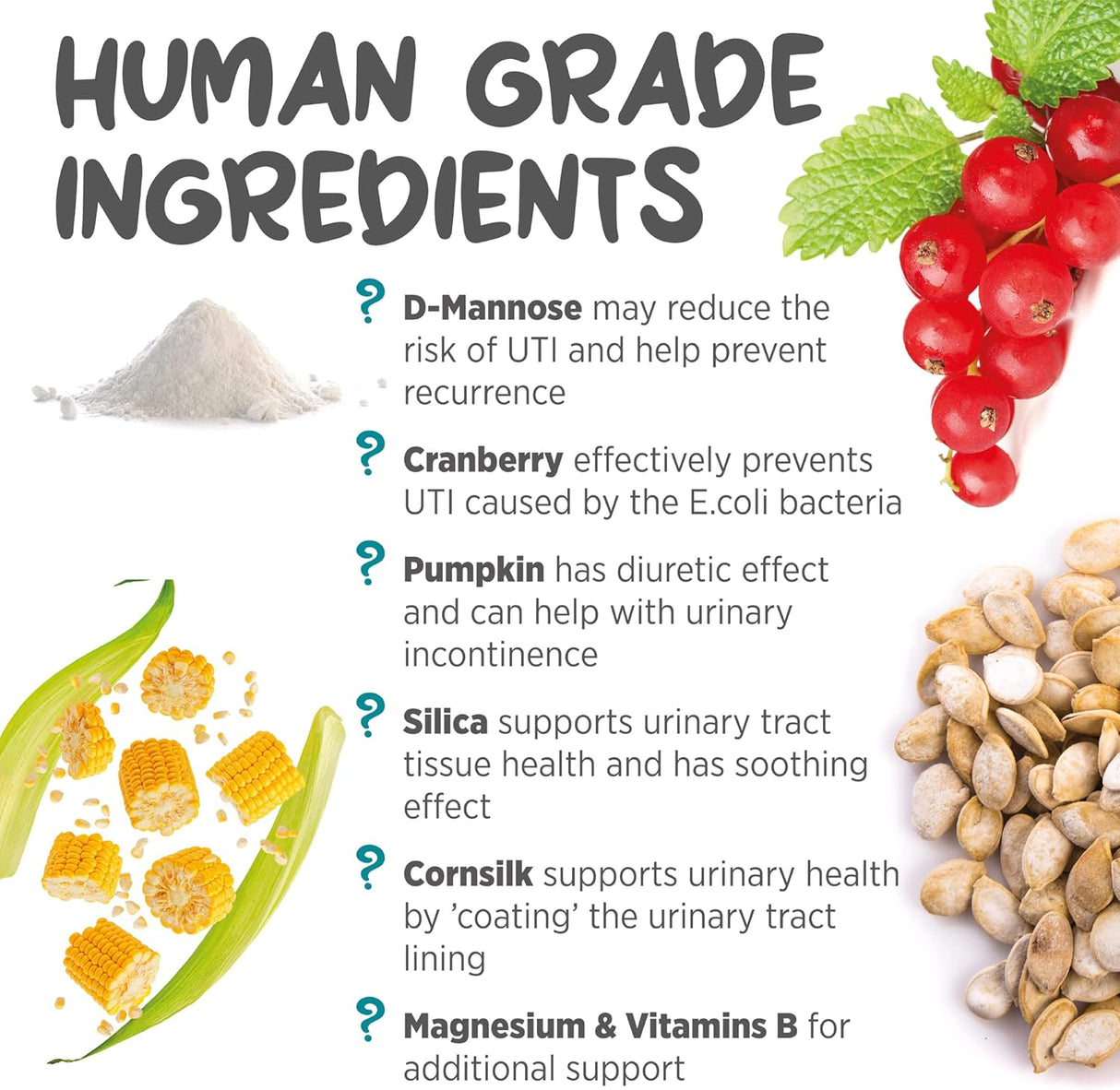 maxxipaws maxxiUtract Urinary & Bladder Support Powder 3.2 Oz.