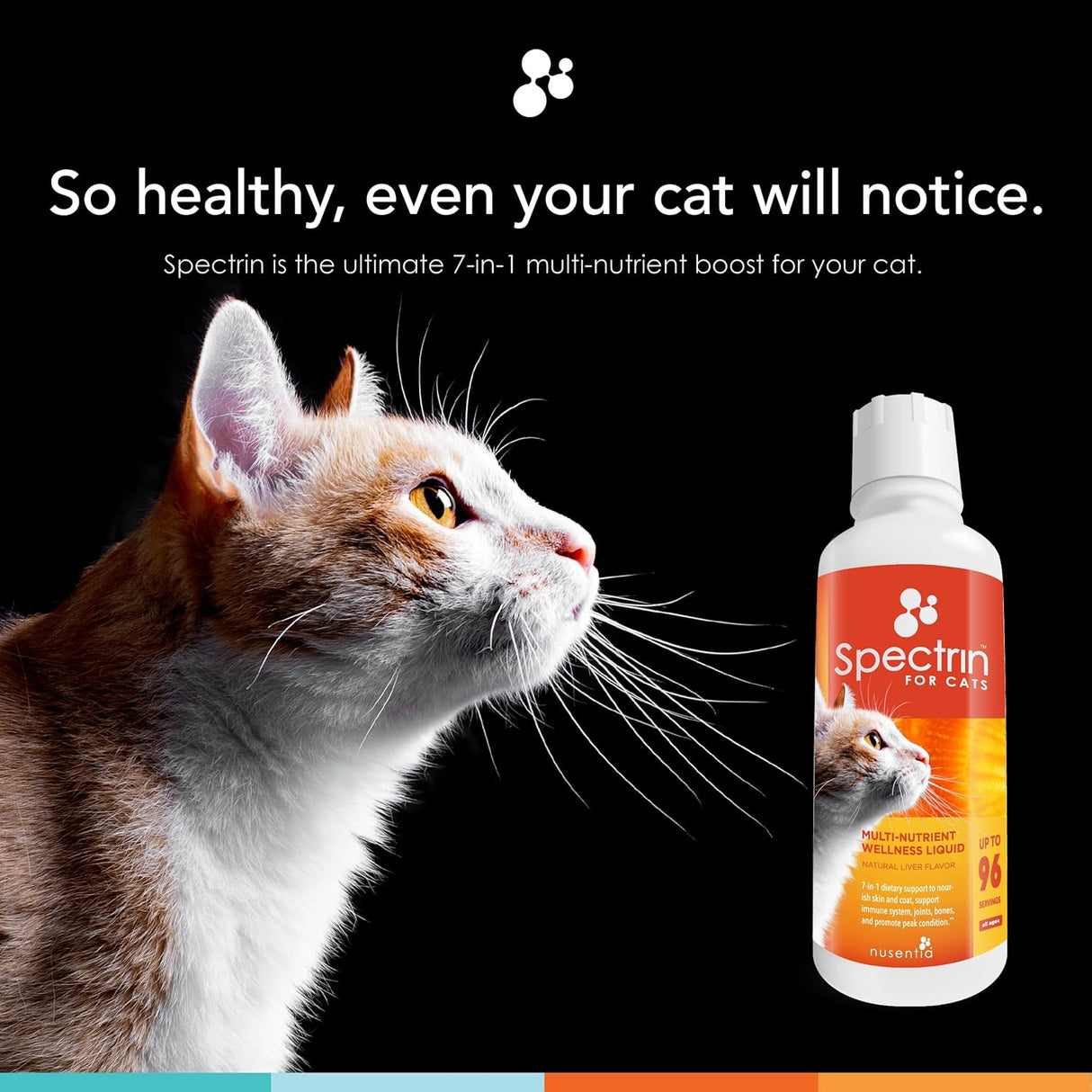 NUSENTIA Liquid Vitamin & Antioxidant Supplement for Cats 473Ml.