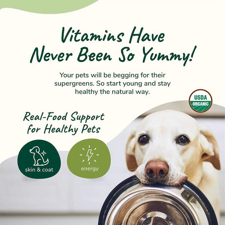 KIN+KIND - kin+kind Organic Multivitamin for Dogs & Cats 226Gr. - The Red Vitamin MX - Multivitamínicos Para Perros - {{ shop.shopifyCountryName }}