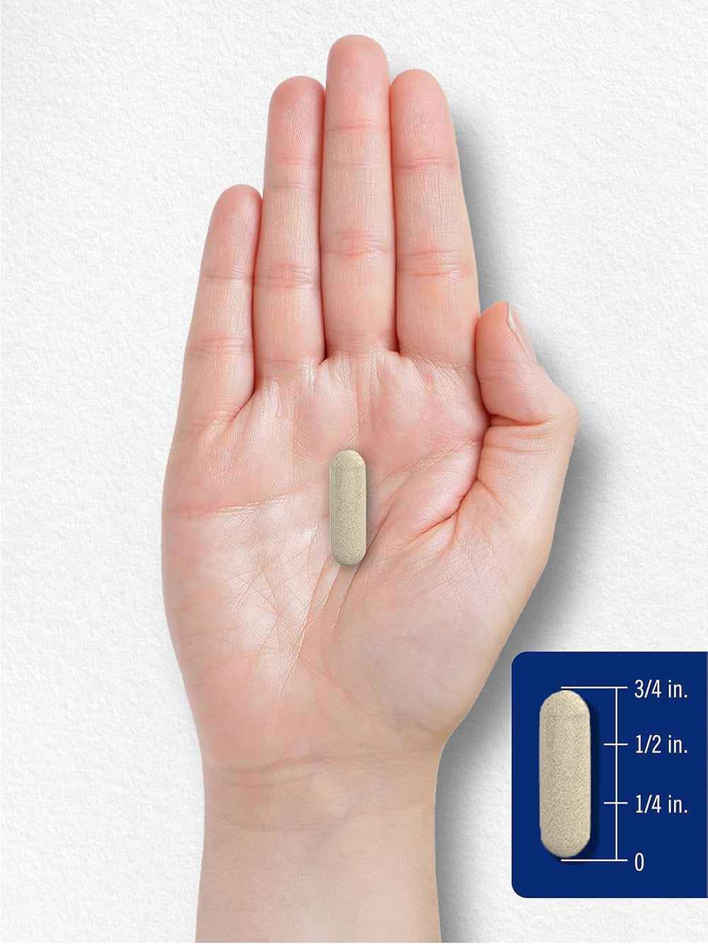 Carlyle Butterbur 150Mg. 180 Capsulas