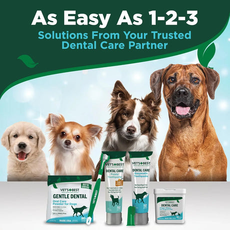 VET'S BEST - Vet's Best Dog Toothpaste & Dog Toothbrush Dental Kit - The Red Vitamin MX - Cuidado Dental Para Perros - {{ shop.shopifyCountryName }}