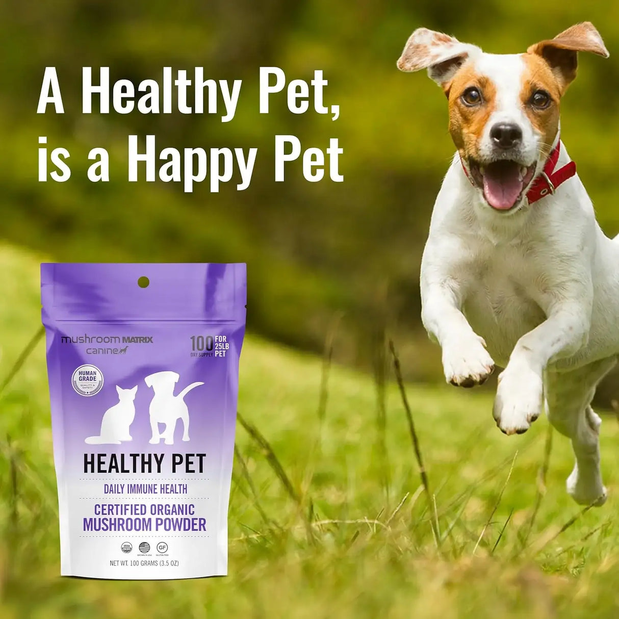 OM - Om Mushroom Matrix Healthy Pet Mushroom Supplement 100Gr. - The Red Vitamin MX - Suplementos Herbales Para Perros - {{ shop.shopifyCountryName }}