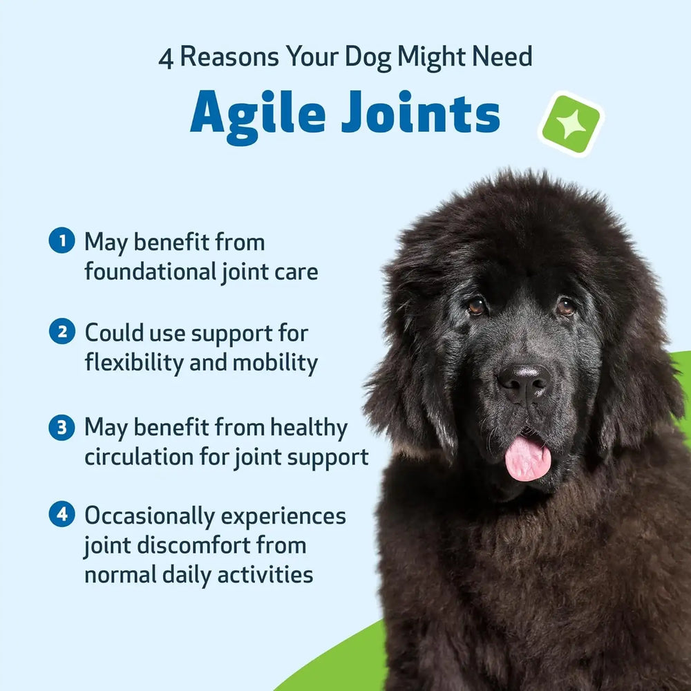 PET WELLBEING - Pet Wellbeing Agile Joints for Dogs 2 Fl.Oz. - The Red Vitamin MX - Cuidado De Cadera Y Articulaciones Para Perros - {{ shop.shopifyCountryName }}