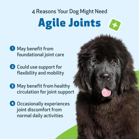 PET WELLBEING - Pet Wellbeing Agile Joints for Dogs 2 Fl.Oz. - The Red Vitamin MX - Cuidado De Cadera Y Articulaciones Para Perros - {{ shop.shopifyCountryName }}
