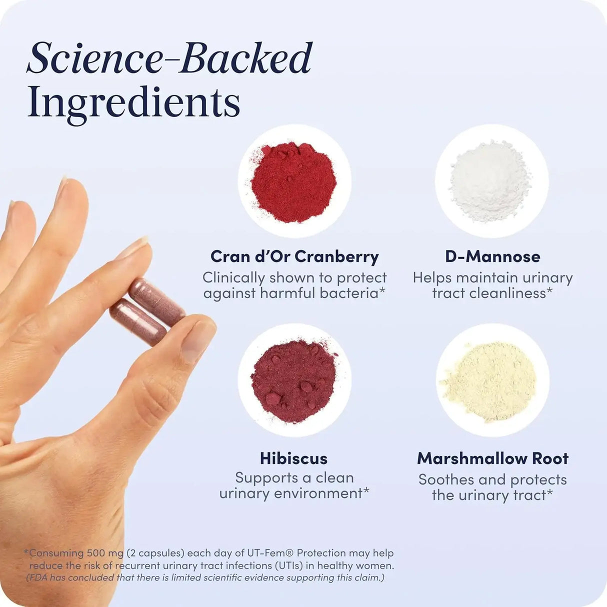 UT FEM - UT-Fem Protection Urinary Tract Defense for Women 60 Capsulas - The Red Vitamin MX - Suplementos Alimenticios - {{ shop.shopifyCountryName }}