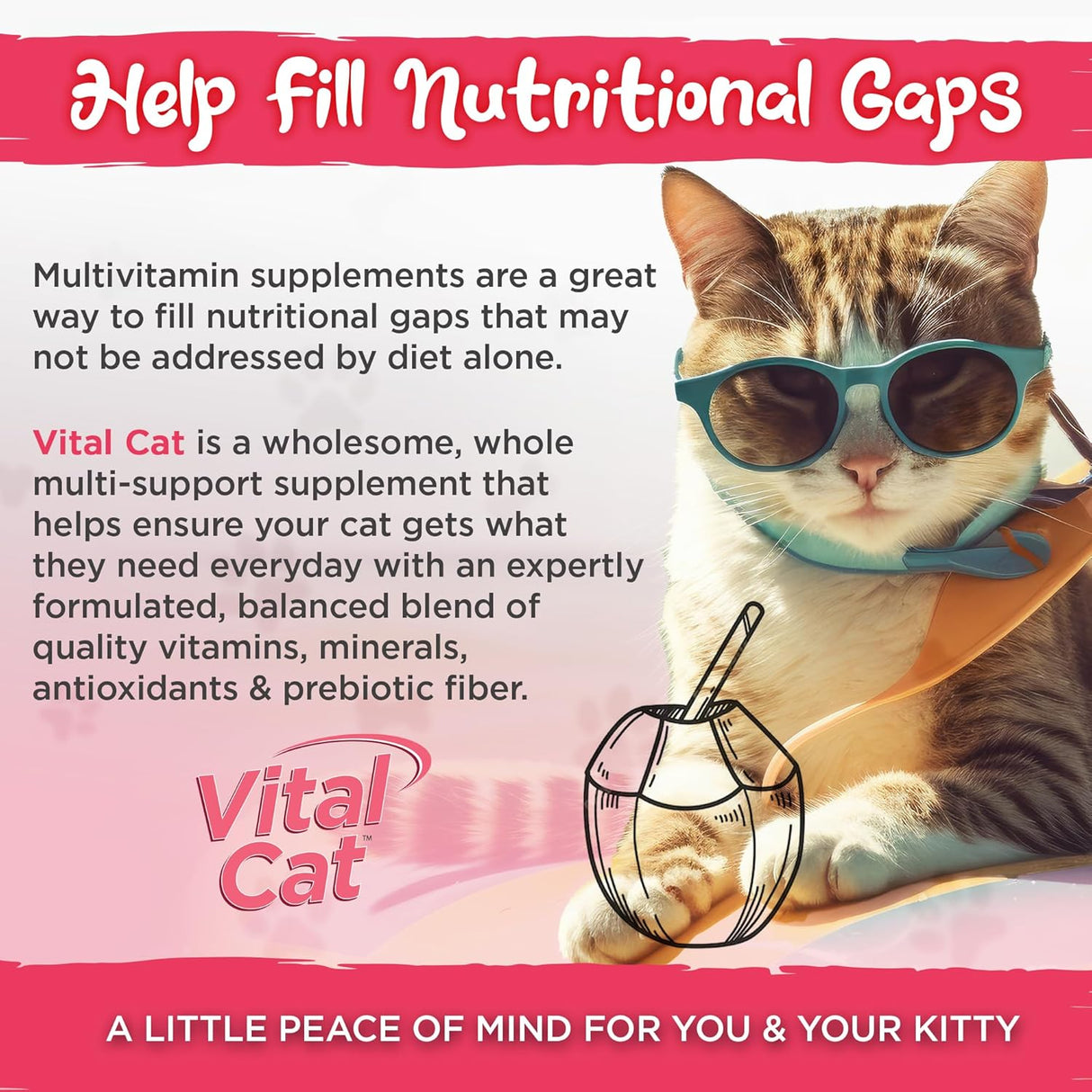 Vital Planet Vital Cat Multi Vitamin Mineral and Antioxidant Powder for Cats 30 Servicios 75Gr.