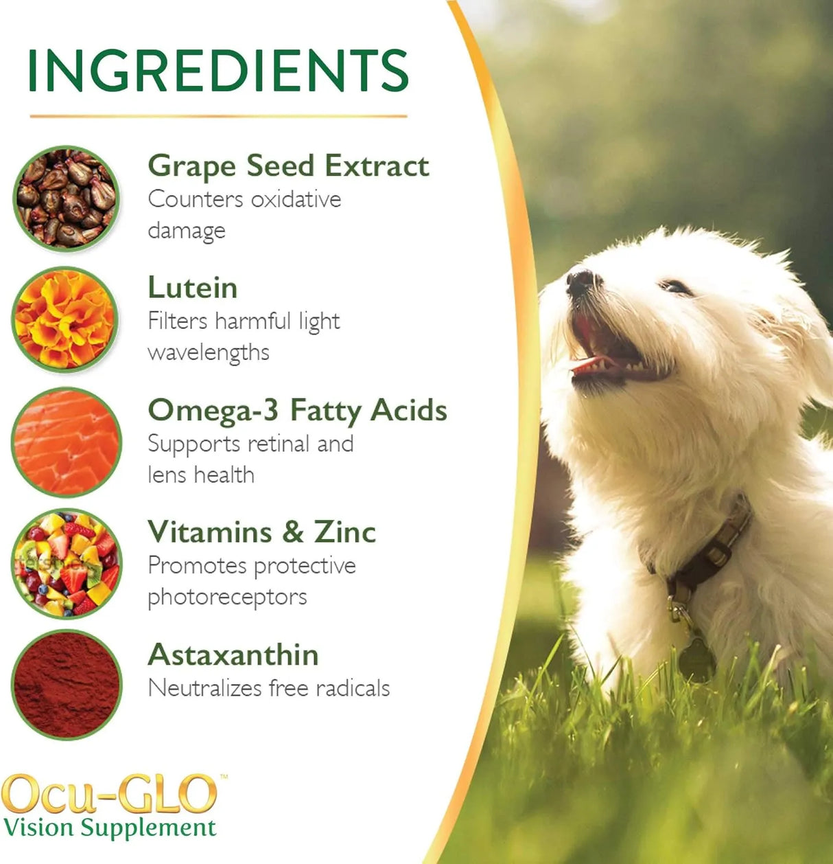 OCU-GLO - Ocu-GLO PB Vision Supplement for Small Dogs & Cats 30 Capsulas - The Red Vitamin MX - Cuidado De Los Ojos De Los Perros - {{ shop.shopifyCountryName }}