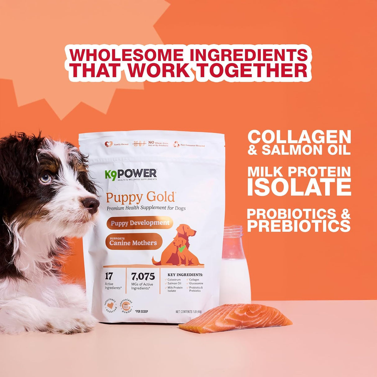 K9 Power Puppy Gold 454Gr.