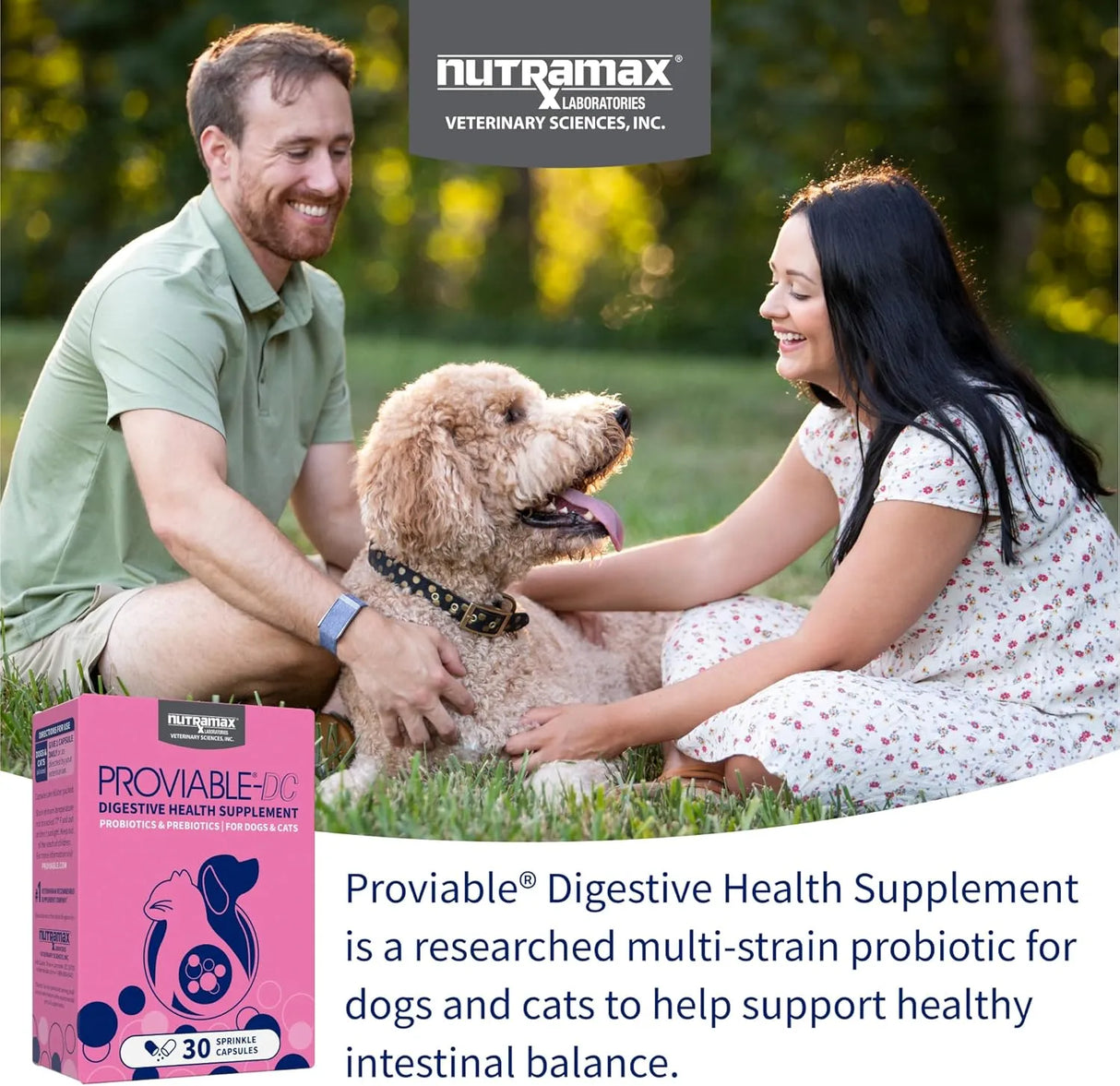 NUTRAMAX - Nutramax Proviable Probiotics for Dogs and Cats 30 Capsulas - The Red Vitamin MX - Probióticos Para Perros - {{ shop.shopifyCountryName }}