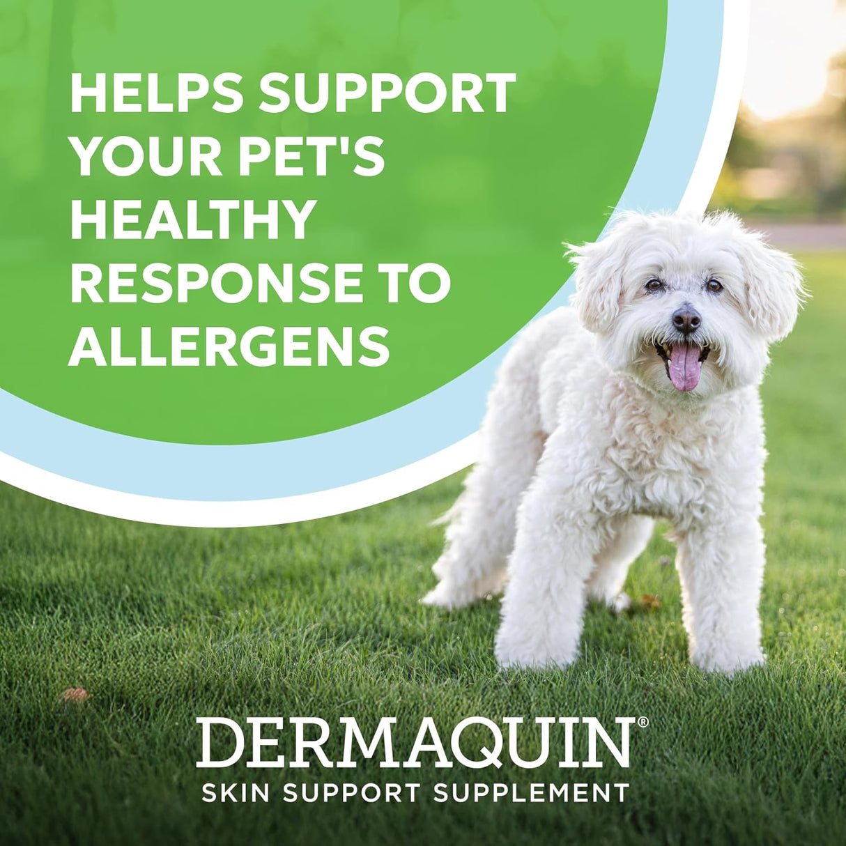 Nutramax Dermaquin Skin Support Supplement for Small to Medium Dogs and Cats 60 Masticables