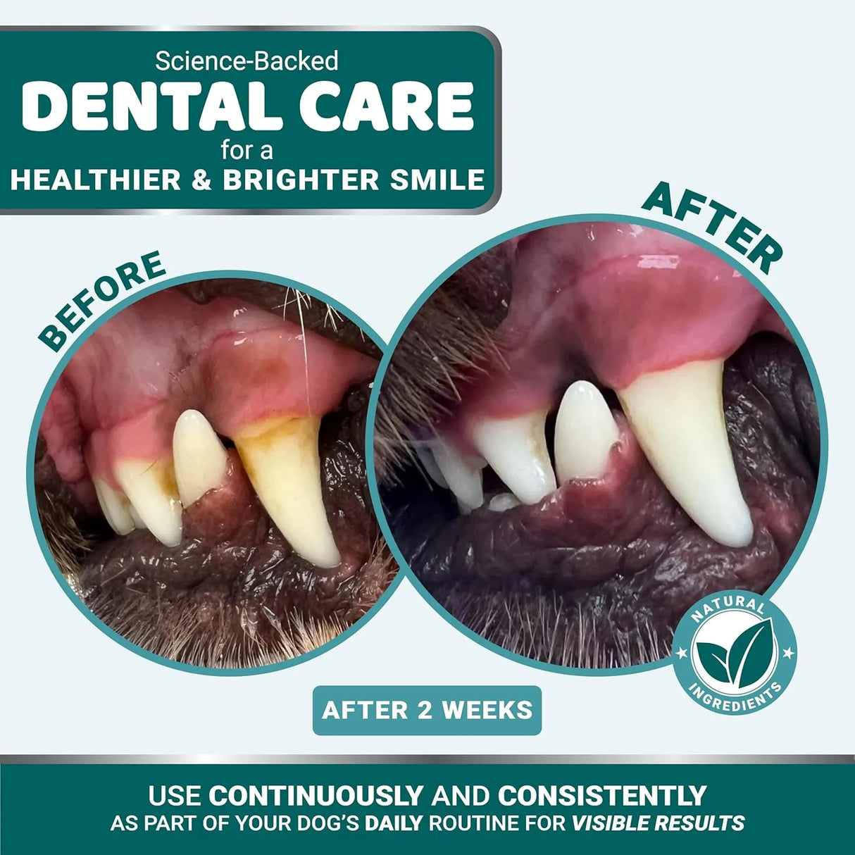 YUMA'S - YUMA'S Dog Dental Powder 60 Servicios 150Gr. - The Red Vitamin MX - Cuidado Dental Para Perros - {{ shop.shopifyCountryName }}