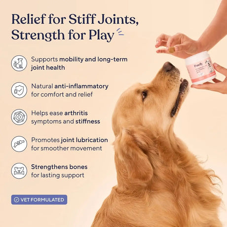 PAWFY - Pawfy Hip & Joint Supplement for Dogs with MSM & Vitamins 30 Masticables - The Red Vitamin MX - Cuidado De Cadera Y Articulaciones Para Perros - {{ shop.shopifyCountryName }}