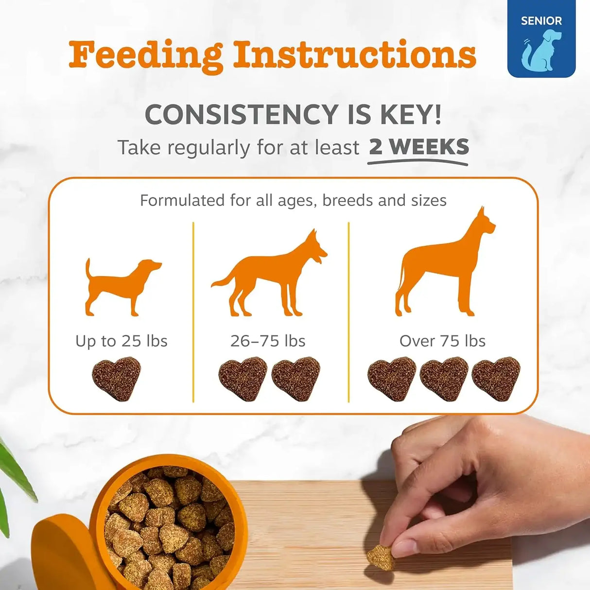 ZESTY PAWS - Zesty Paws Senior Advanced Dog Allergy Relief 90 Masticables - The Red Vitamin MX - Remedios Para La Picazón De Perros - {{ shop.shopifyCountryName }}