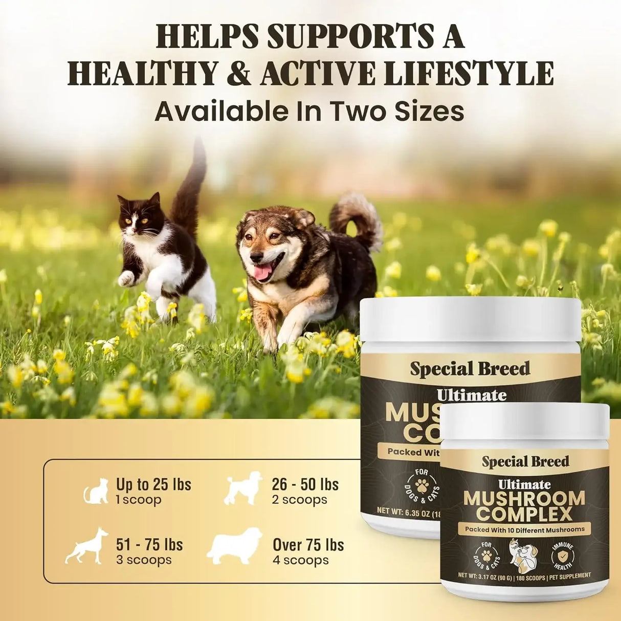 SPECIAL BREED - Special Breed Mushroom Powder for Dogs & Cats 180 Servicios 90Gr. - The Red Vitamin MX - Suplementos Herbales Para Perros - {{ shop.shopifyCountryName }}