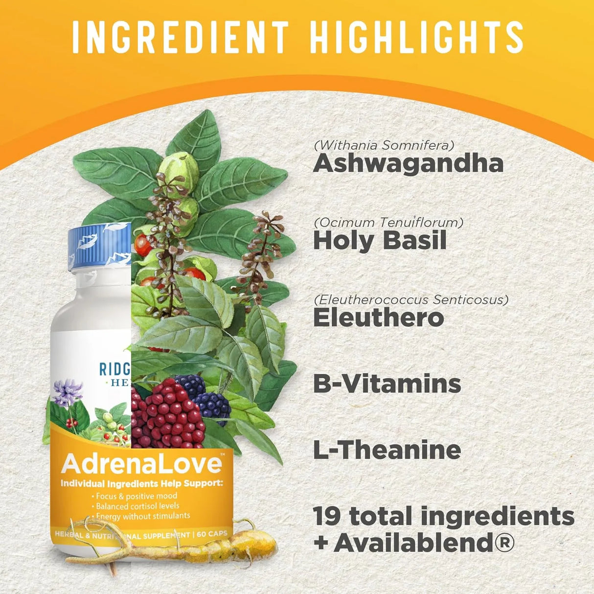 RIDGECREST HERBALS - Ridgecrest Herbals AdrenaLove 60 Capsulas - The Red Vitamin MX - Suplementos Alimenticios - {{ shop.shopifyCountryName }}