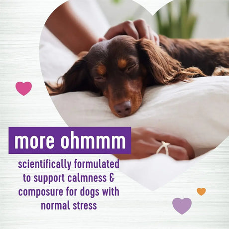 WELLNESS - Wellness Tasty Cheese Flavored Soft Chews Calming 90 Masticables - The Red Vitamin MX - Relajantes Para Perros - {{ shop.shopifyCountryName }}