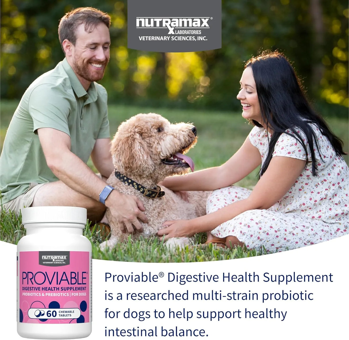 NUTRAMAX - Nutramax Proviable Probiotics for Dogs 60 Tabletas Masticables - The Red Vitamin MX - Probióticos Para Perros - {{ shop.shopifyCountryName }}