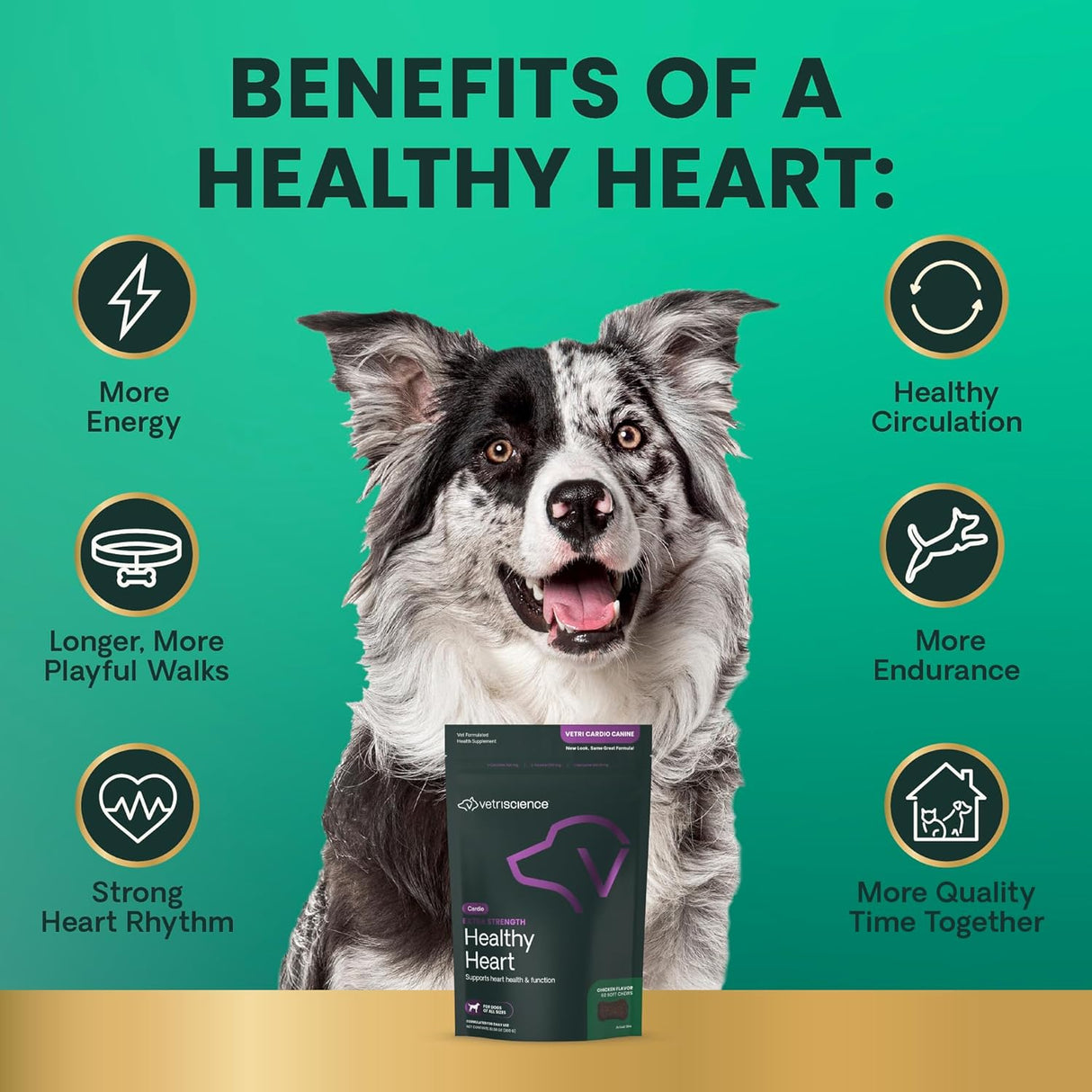 VetriScience Extra Strength Healthy Heart Chews 60 Masticables