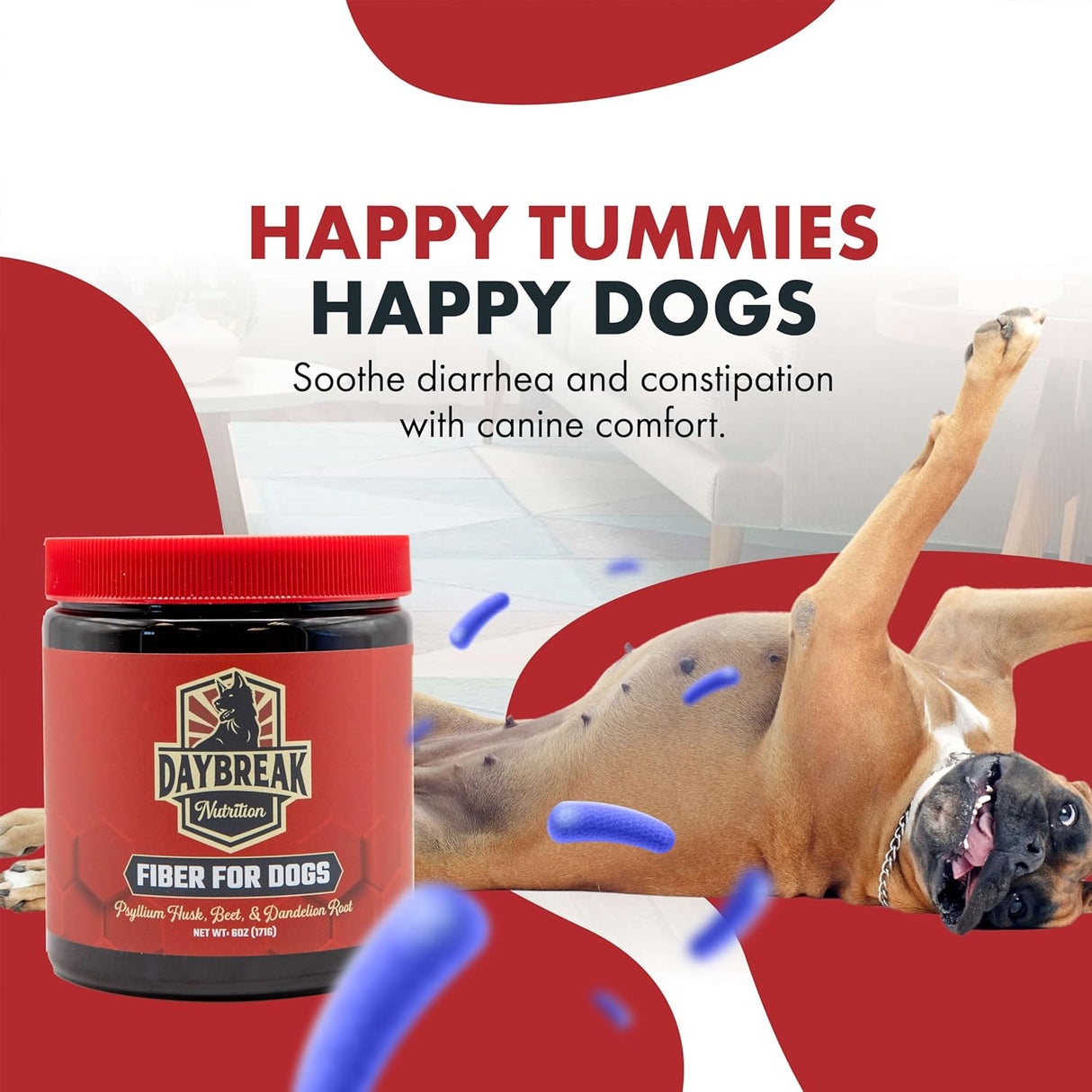 Daybreak Nutrition Fiber for Dogs Psyllium Husk 171Gr.