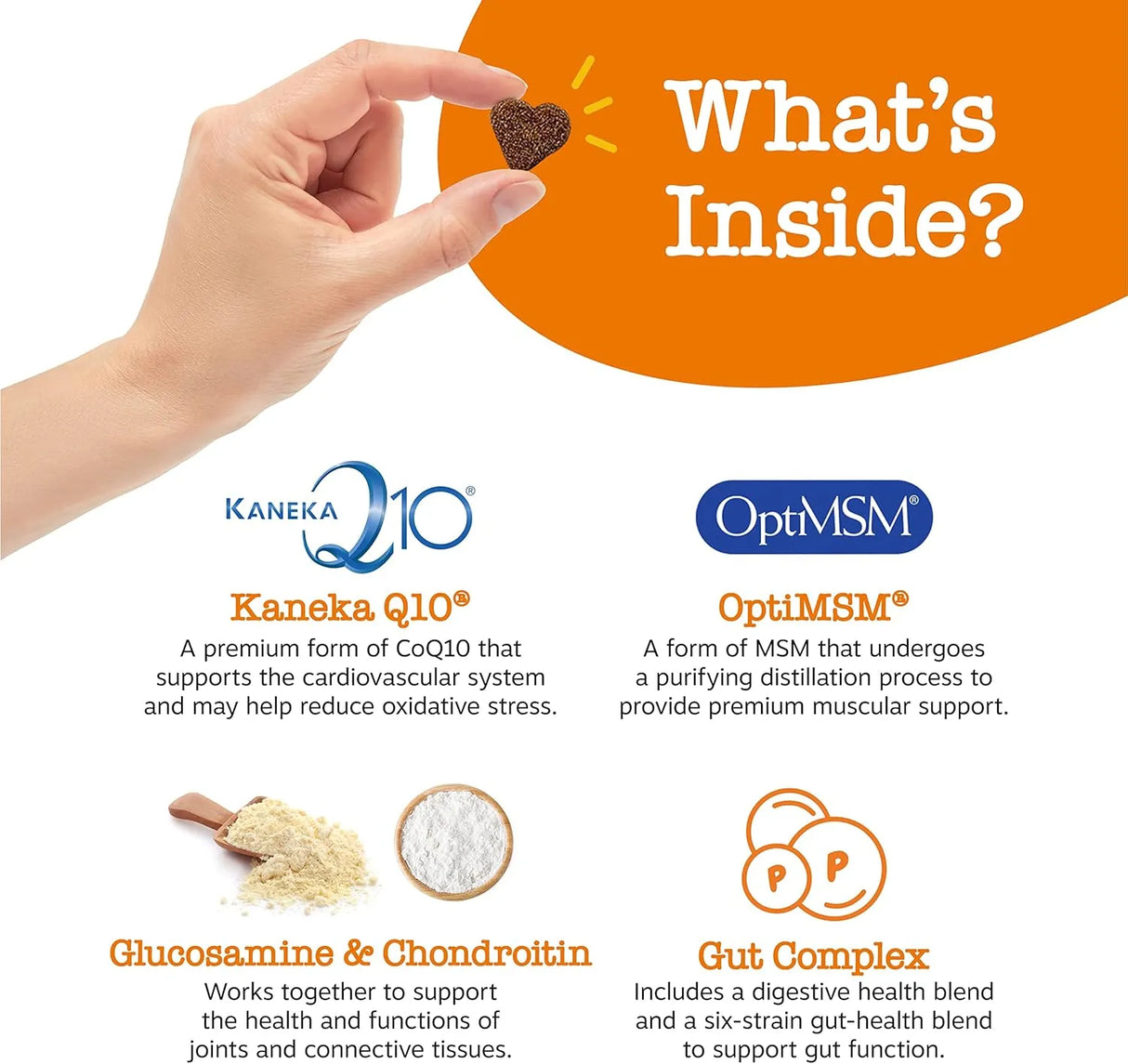 ZESTY PAWS - Zesty Paws Multivitamin Treats for Dogs Chicken Flavor 250 Masticables - The Red Vitamin MX - Cuidado De Los Ojos De Los Perros - {{ shop.shopifyCountryName }}