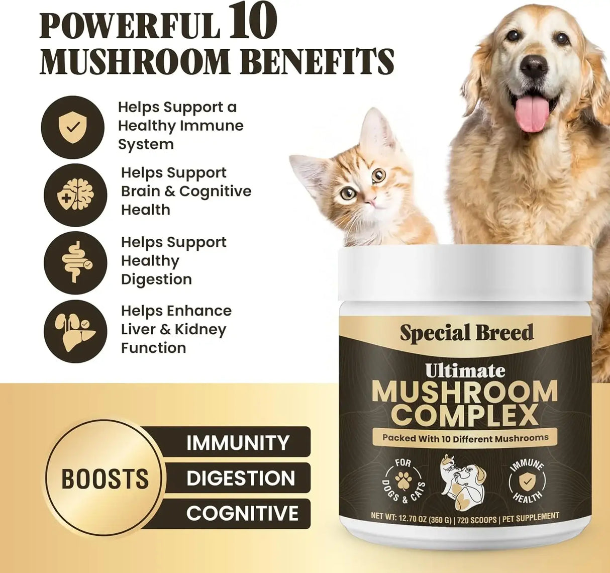 SPECIAL BREED - Special Breed Mushroom Powder for Dogs & Cats 720 Servicios 360Gr. - The Red Vitamin MX - Suplementos Herbales Para Perros - {{ shop.shopifyCountryName }}