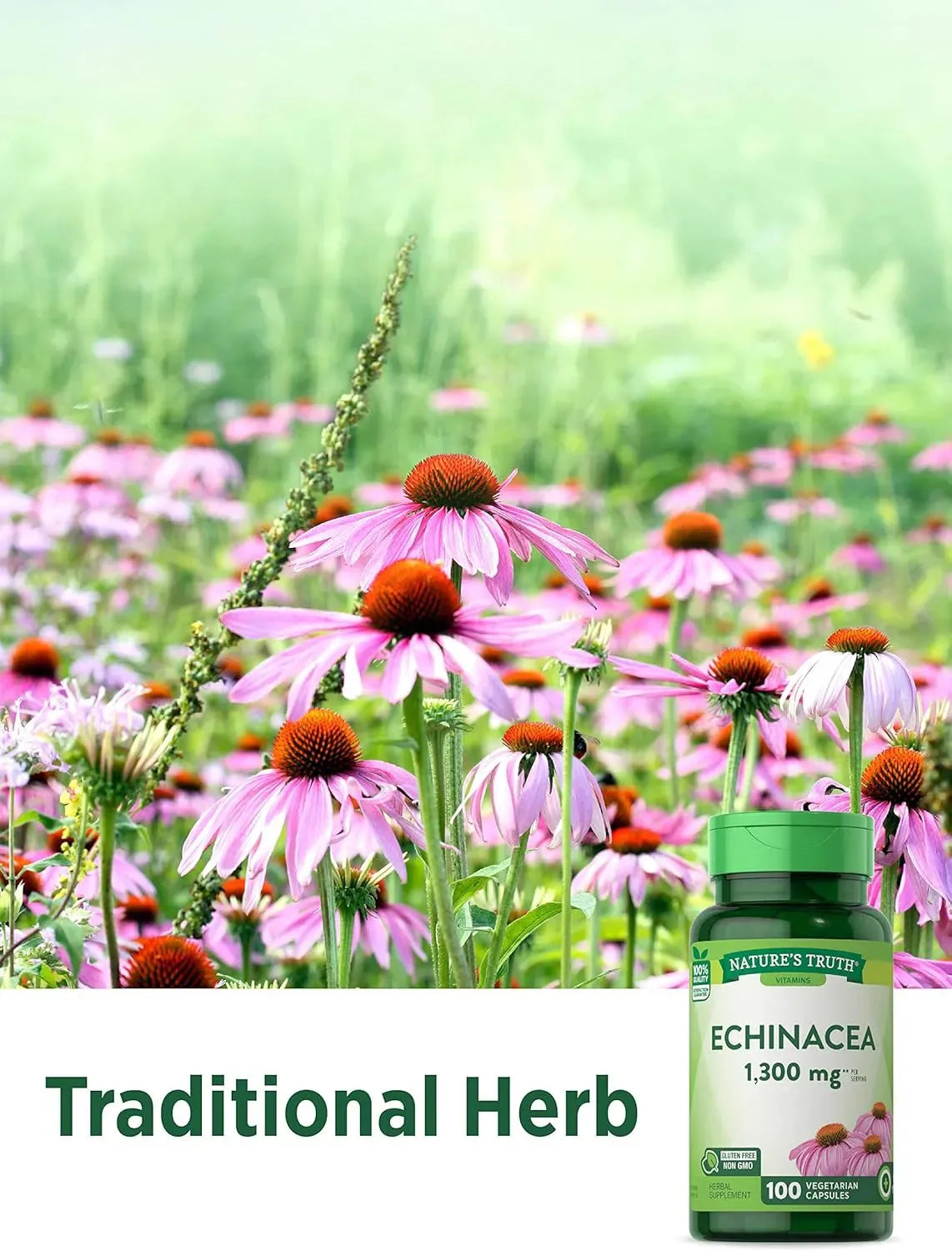 NATURE'S TRUTH - Nature's Truth Echinacea Extract 1300Mg. 100 Capsulas - The Red Vitamin MX - Suplementos Alimenticios - {{ shop.shopifyCountryName }}