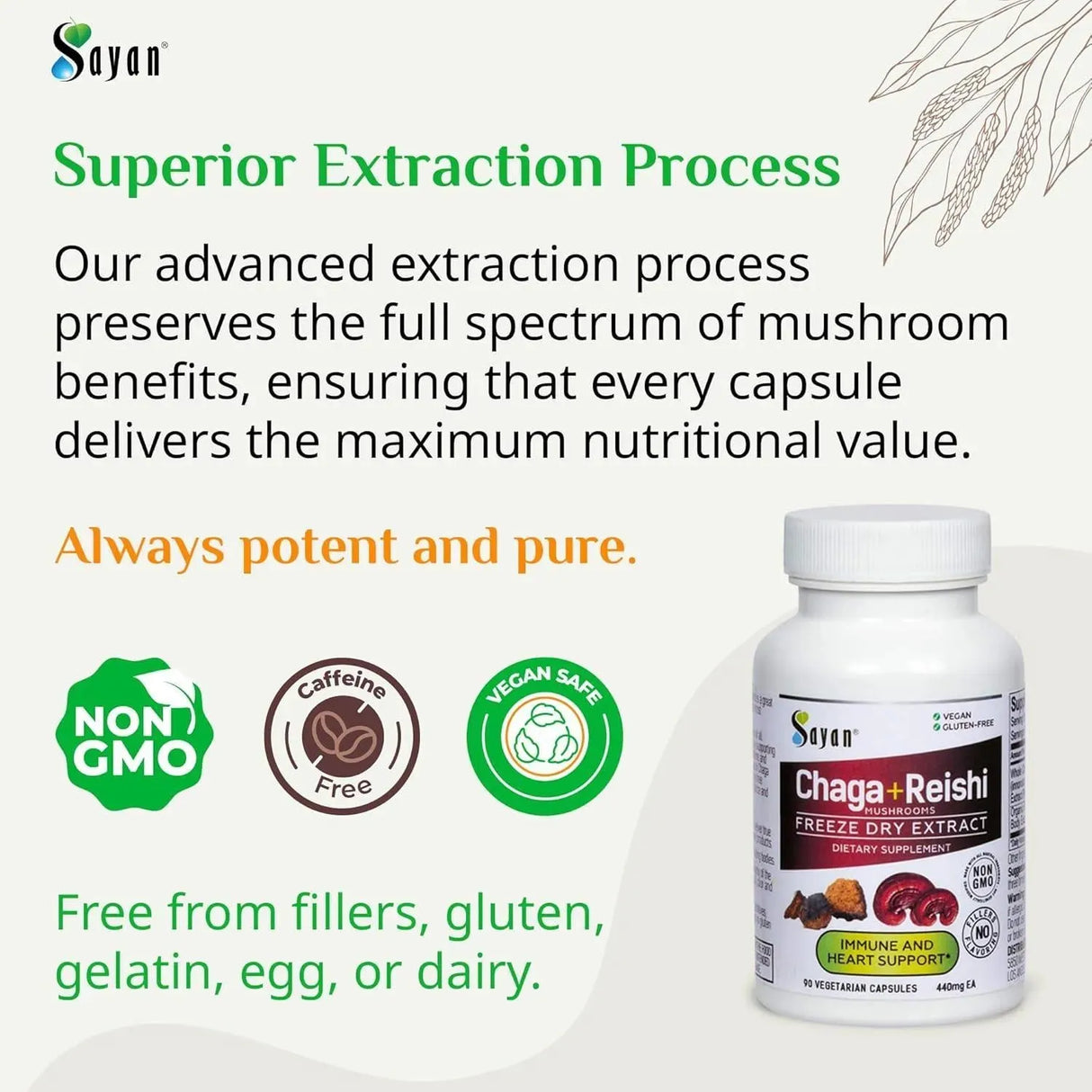 SAYAN - Sayan Siberian Chaga and Organic Reishi Mushroom Extract 90 Capsulas - The Red Vitamin MX - Suplementos Alimenticios - {{ shop.shopifyCountryName }}