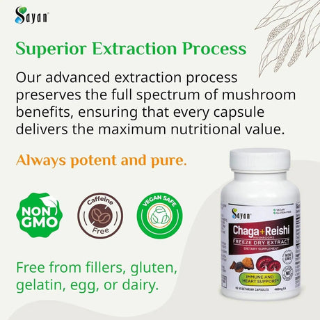 SAYAN - Sayan Siberian Chaga and Organic Reishi Mushroom Extract 90 Capsulas - The Red Vitamin MX - Suplementos Alimenticios - {{ shop.shopifyCountryName }}