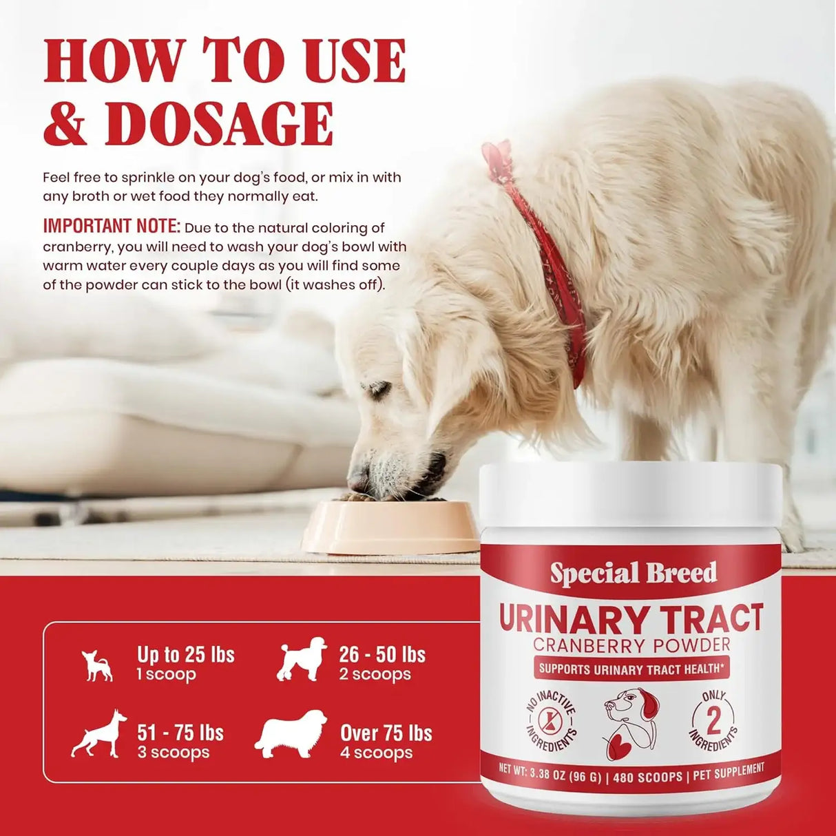 SPECIAL BREED - Special Breed Urinary Tract Health Cranberry for Dogs 96Gr. - The Red Vitamin MX - Salud De Tracto Urinario Para Perros - {{ shop.shopifyCountryName }}