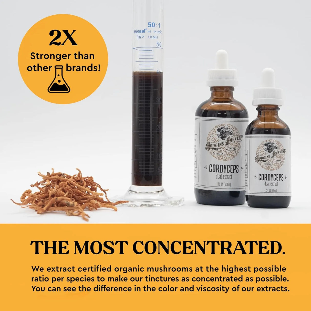 HODGINS HARVEST - Hodgins Harvest Organic Cordyceps Tincture 4 Fl.Oz. - The Red Vitamin MX - Suplementos Alimenticios - {{ shop.shopifyCountryName }}
