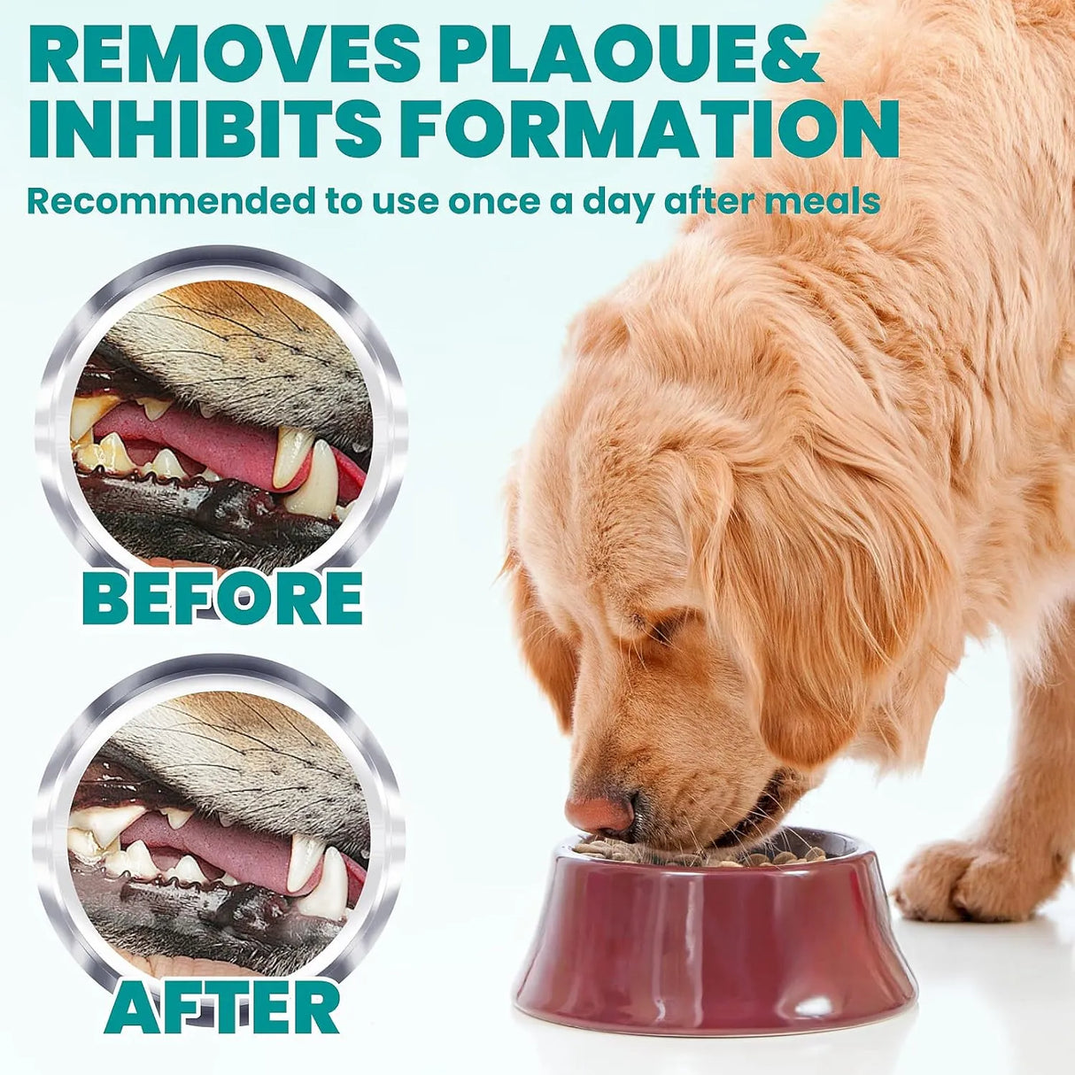 MEDUWEDU - MEDUWEDU Dental Care Finger Wipes Coconut Scent 60 Toallitas 2 Pack - The Red Vitamin MX - Cuidado Dental Para Perros - {{ shop.shopifyCountryName }}