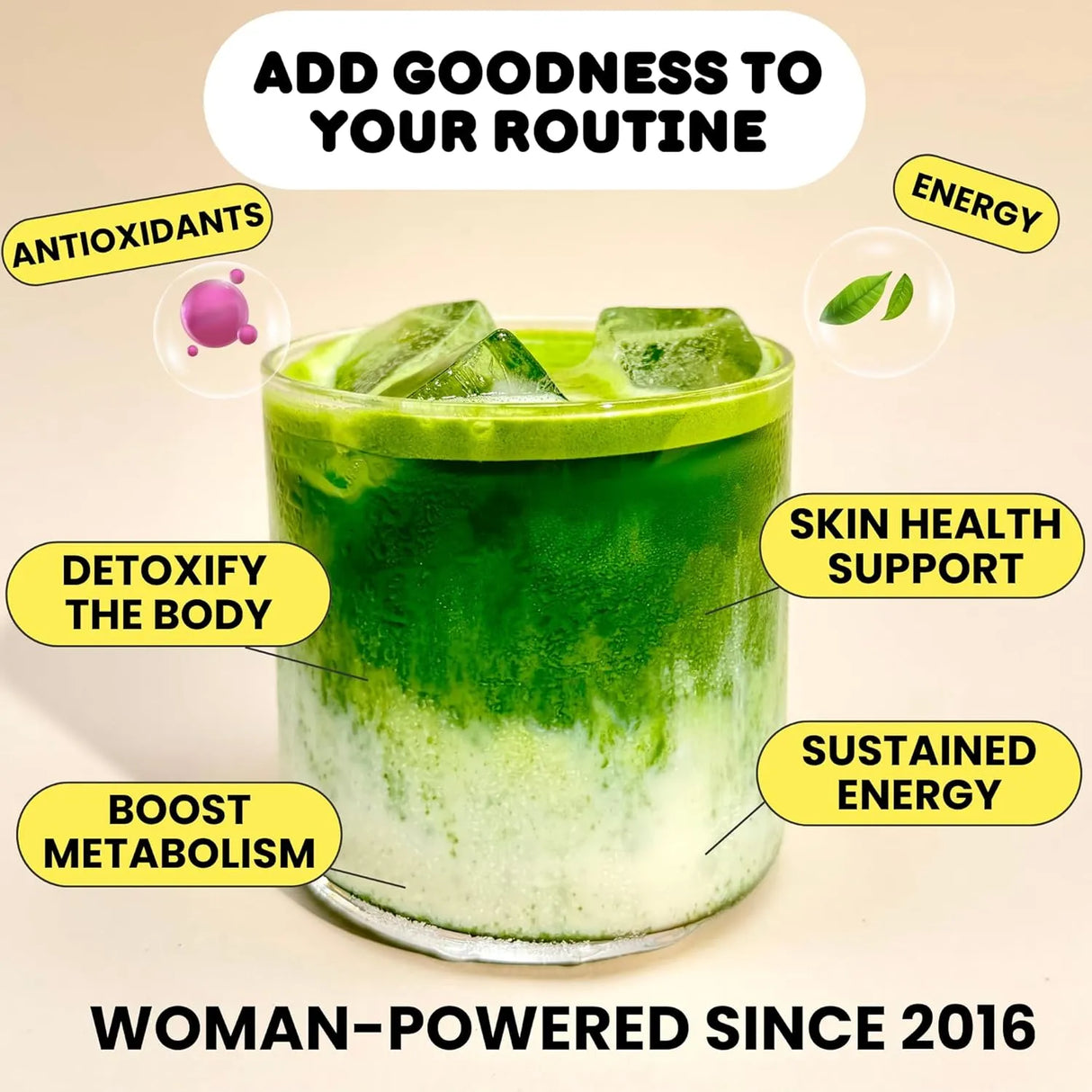 HOLY MATCHA - Holy Matcha Ceremonial Green Tea Powder 100Gr. - The Red Vitamin MX - Suplementos Alimenticios - {{ shop.shopifyCountryName }}