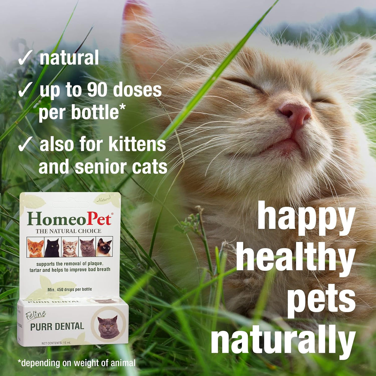 HomeoPet Feline Purr Dental Safe and Natural Tooth and Dental Care for Cats 15Ml.